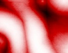 www arthrose krebs