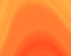pferde arthrose heberden arthrose